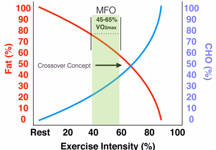 Purdom et al., 2018. Range di collocazione della FATmax.
