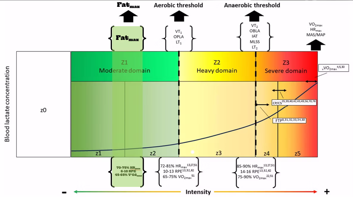 Rivera-Kofler et al., 2024 mod. Collocazione della FATmax rispetto alle altre zone utilizzando modelli diversi.