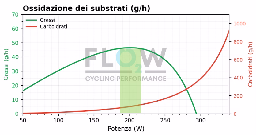 Achten et al., 2002. Protocolli di valutazione di FATmax e MFO.