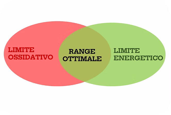 La Zona 2 come equilibrio tra stress ossidativo e richiesta energetica